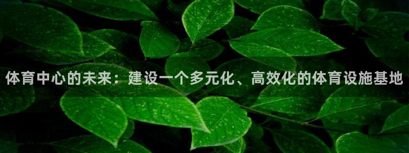 凯捷体育娱乐：体育中心的未来：建设一个多元化、高效化
