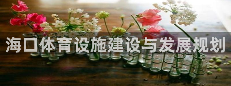凯捷体育招商电话地址：海口体育设施建设与发展规划