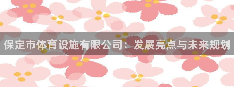 凯捷体育平台APP：保定市体育设施有限公司：发展亮点