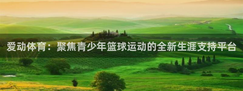 凯捷体育开户：爱动体育：聚焦青少年篮球运动的全新生涯