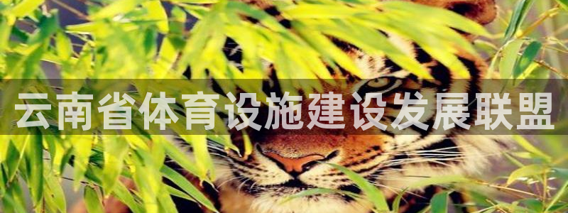 凯捷体育招商电话号码是多少号：云南省体育设施建设发展