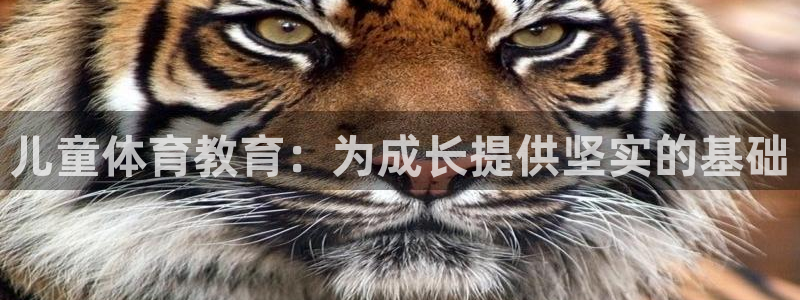凯捷体育平台APP：儿童体育教育：为成长提供坚实的基