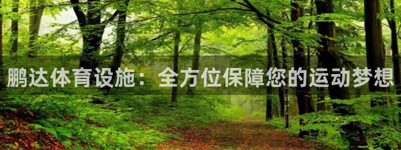 凯捷体育招商：鹏达体育设施：全方位保障您的运动梦想