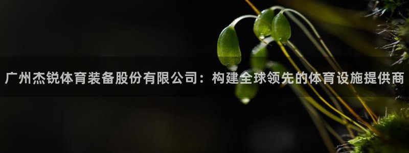 凯捷体育集团logo：广州杰锐体育装备股份有限公司：