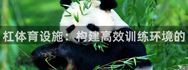 凯捷体育娱乐40996：杠体育设施：构建高效训练环境