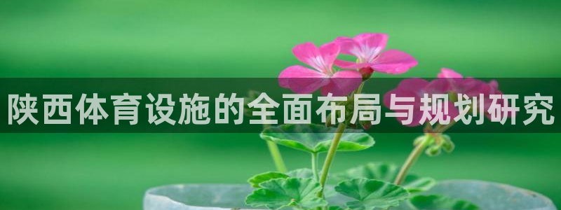 海南凯捷体育：陕西体育设施的全面布局与规划研究