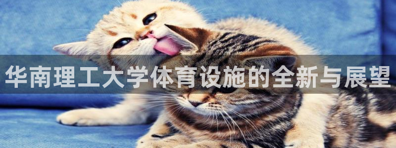 凯捷体育娱乐：华南理工大学体育设施的全新与展望