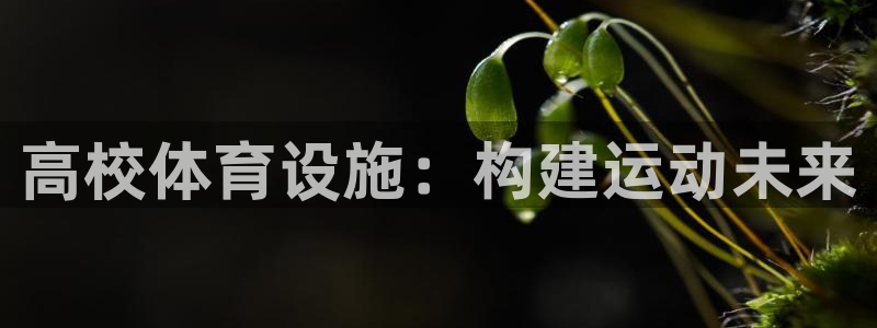 凯捷体育五金厂：高校体育设施：构建运动未来