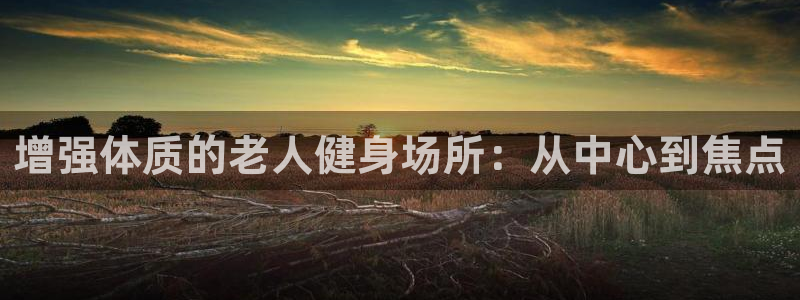 凯捷体育代理：增强体质的老人健身场所：从中心到焦点