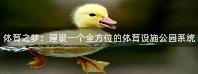 凯捷体育集团官网网址：体育之梦：建设一个全方位的体育