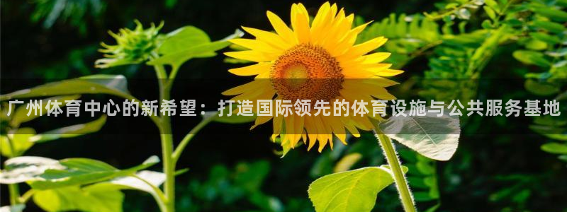 凯捷平台体育：广州体育中心的新希望：打造国际领先的体育设施与
