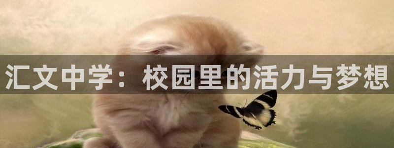 海南凯捷体育：汇文中学：校园里的活力与梦想