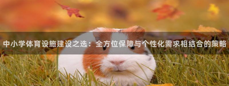凯捷体育娱乐40996：中小学体育设施建设之选：全方位保障与
