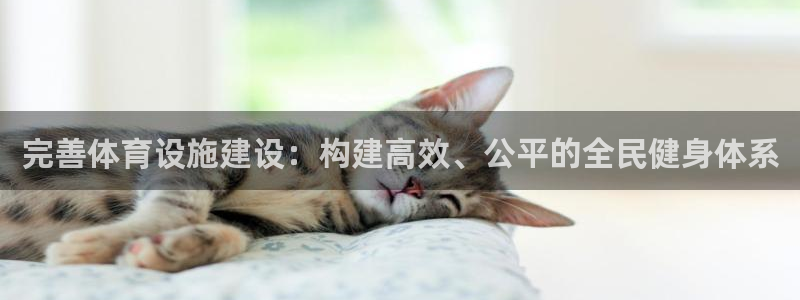 凯捷体育招商电话地址查询：完善体育设施建设：构建高效、公平的