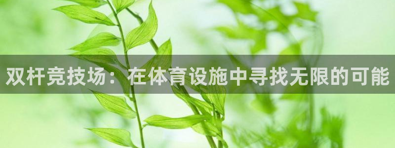 凯捷体育神州：双杆竞技场：在体育设施中寻找无限的可能 