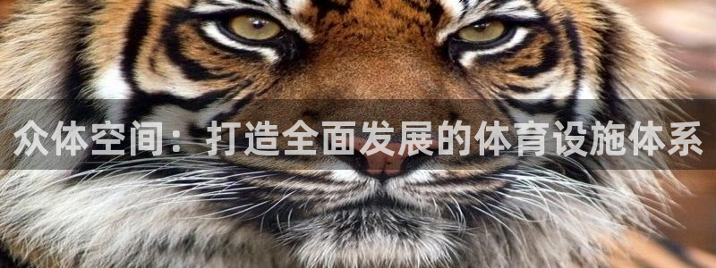 凯捷体育招商电话号码是多少啊：众体空间：打造全面发展