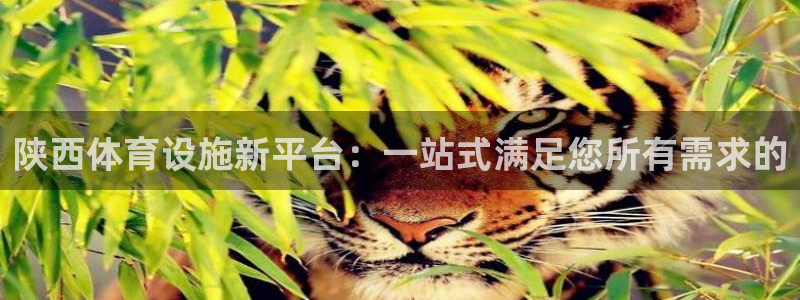 凯捷体育官网：陕西体育设施新平台：一站式满足您所有需
