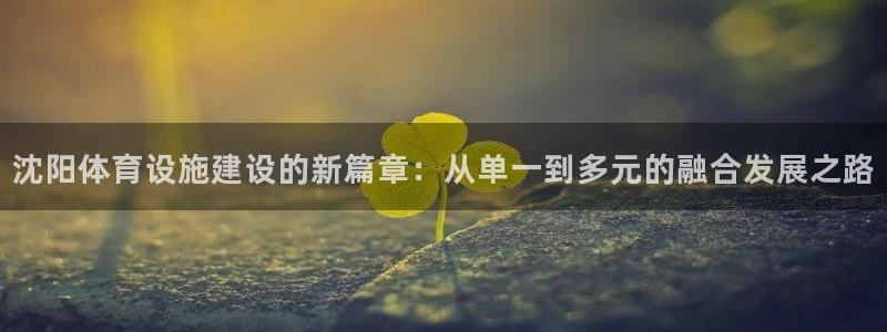 凯捷体育娱乐代理怎么样：沈阳体育设施建设的新篇章：从
