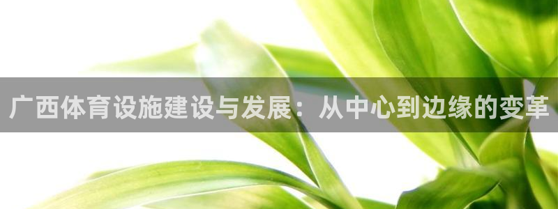 凯捷体育神州