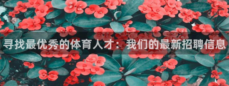 凯捷体育招商电话地址查询