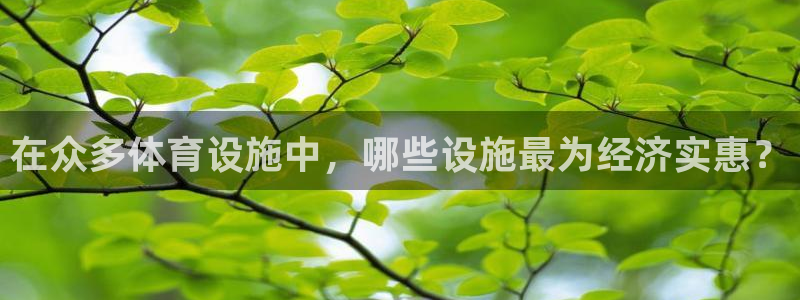 凯捷体育娱乐代理怎么样