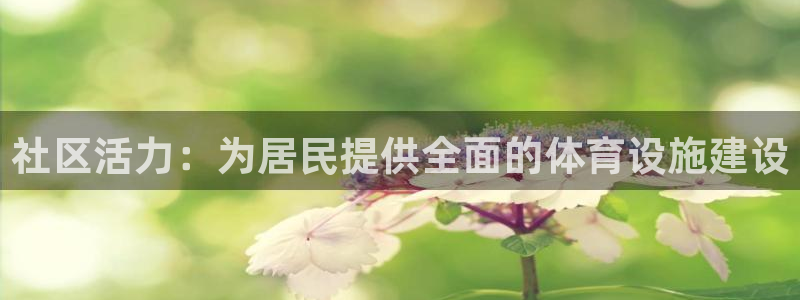 凯捷体育集团：社区活力：为居民提供全面的体育设施建设