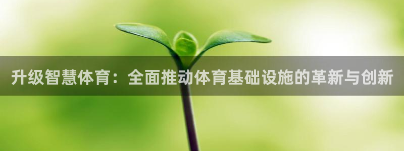 凯捷体育招商：升级智慧体育：全面推动体育基础设施的革