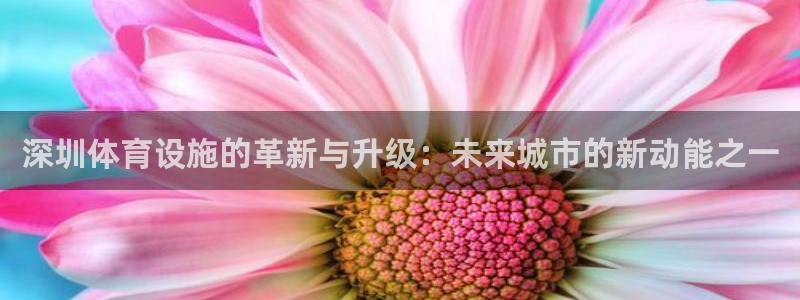 凯捷体育开户：深圳体育设施的革新与升级：未来城市的新