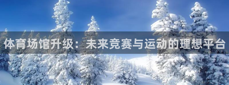 海南凯捷体育发展怎么样：体育场馆升级：未来竞赛与运动