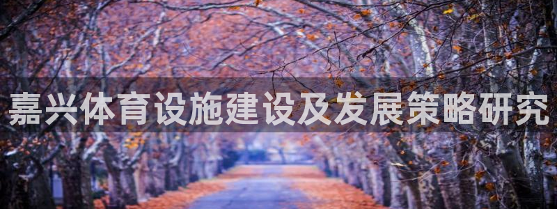 凯捷体育集团简介
