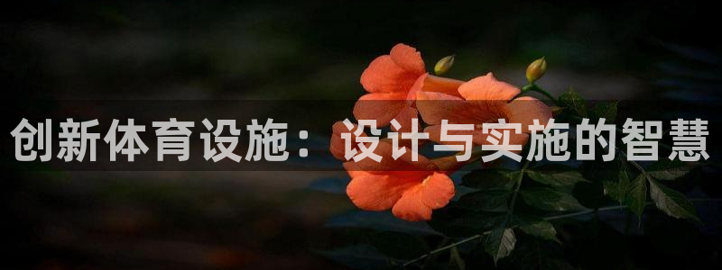 凯捷体育是干嘛的公司：创新体育设施：设计与实施的智慧