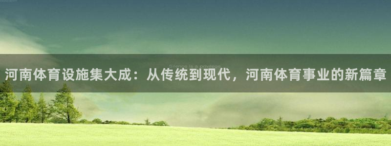 凯捷体育开户：河南体育设施集大成：从传统到现代，河南