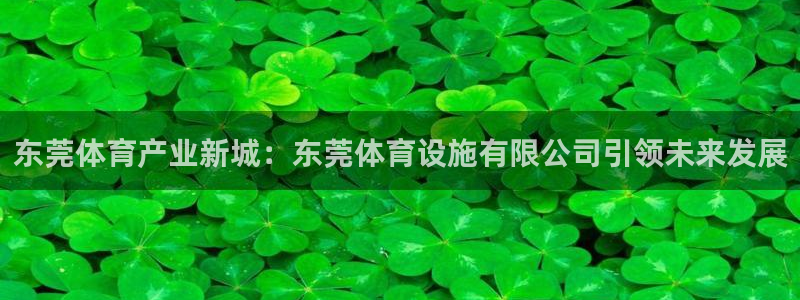 凯捷体育平台注册：东莞体育产业新城：东莞体育设施有限