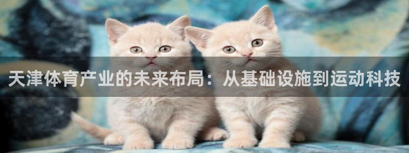凯捷体育娱乐下载：天津体育产业的未来布局：从基础设施