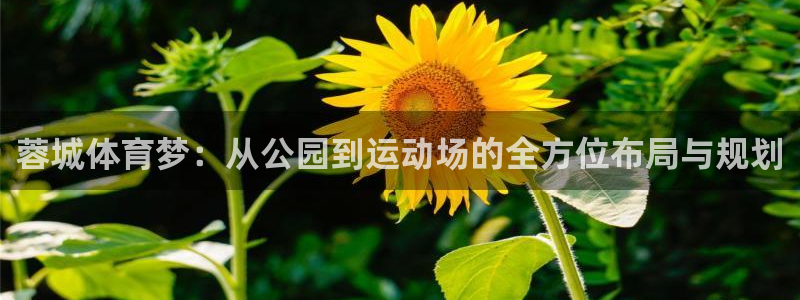 凯捷体育招商电话是多少号码：蓉城体育梦：从公园到运动场的全方