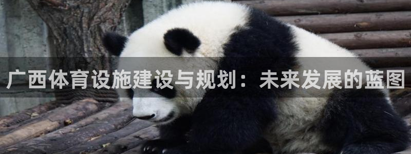凯捷体育集团