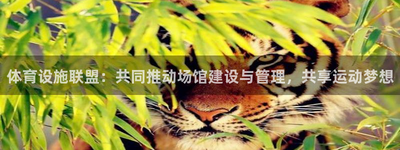 凯捷体育平台注册要钱吗是真的吗：体育设施联盟：共同推
