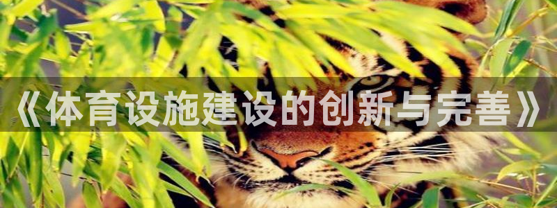 凯捷体育代理：《体育设施建设的创新与完善》