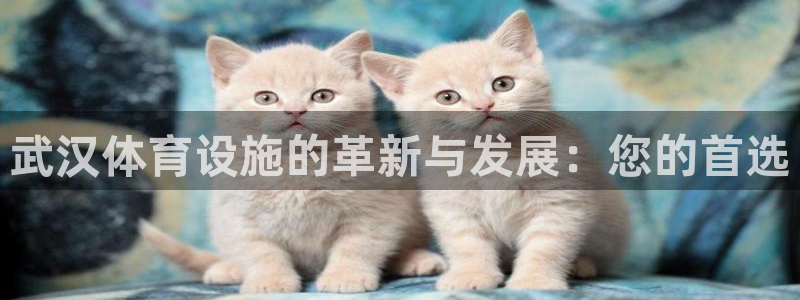 凯捷体育招商：武汉体育设施的革新与发展：您的首选
