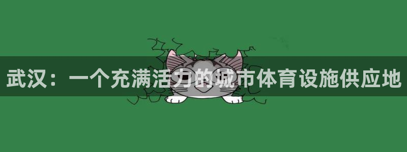 凯捷体育平台：武汉：一个充满活力的城市体育设施供应地