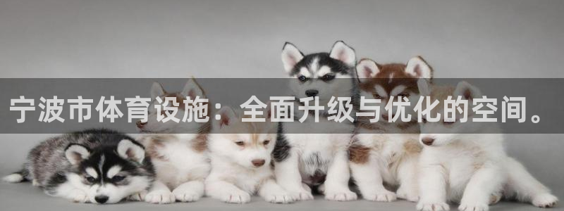 海南凯捷体育：宁波市体育设施：全面升级与优化的空间。
