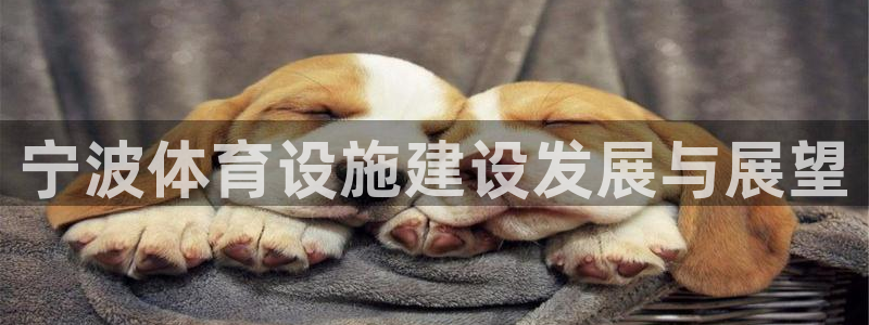 凯捷体育注册：宁波体育设施建设发展与展望