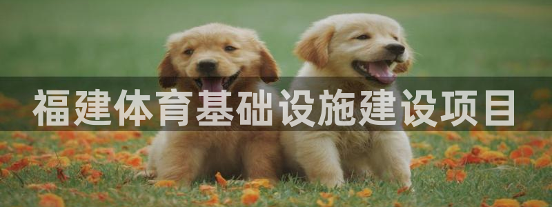 凯捷体育娱乐