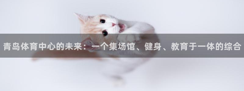 凯捷体育神州：青岛体育中心的未来：一个集场馆、健身、