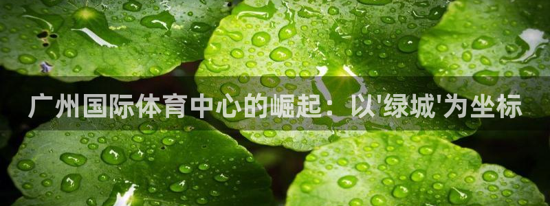 凯捷体育招商电话：广州国际体育中心的崛起：以\'绿城