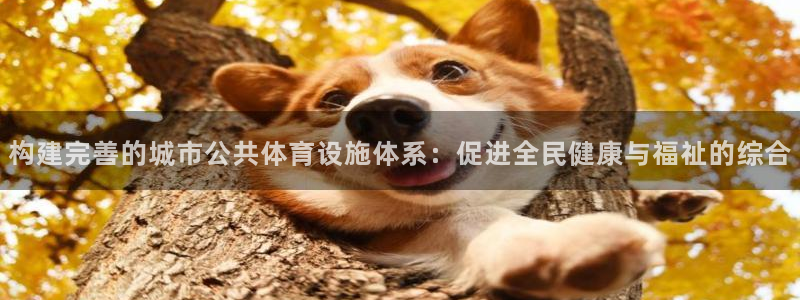 凯捷体育娱乐代理怎么样：构建完善的城市公共体育设施体