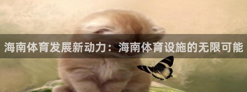 凯捷体育平台假的吗是真的吗吗：海南体育发展新动力：海