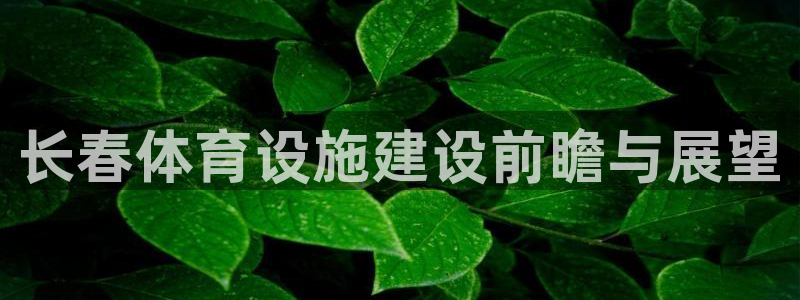 德国凯捷体育集团：长春体育设施建设前瞻与展望