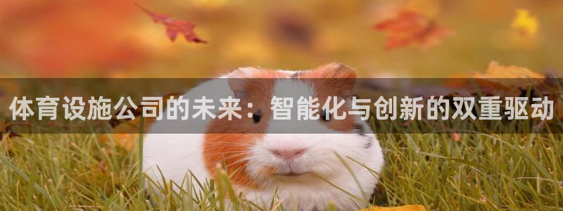 凯捷体育娱乐网站：体育设施公司的未来：智能化与创新的