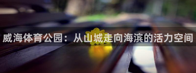 凯捷体育：威海体育公园：从山城走向海滨的活力空间